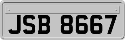 JSB8667