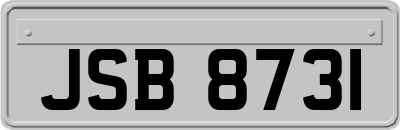 JSB8731