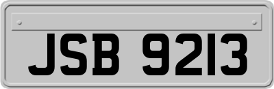JSB9213