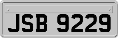JSB9229