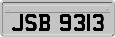 JSB9313