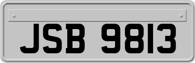 JSB9813