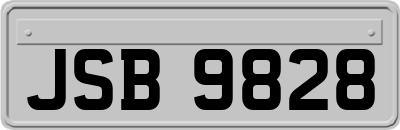 JSB9828