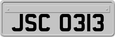 JSC0313