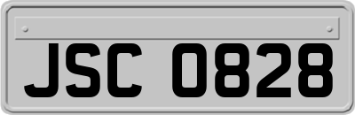 JSC0828
