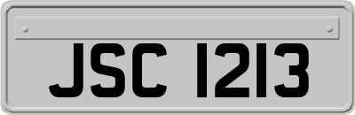JSC1213