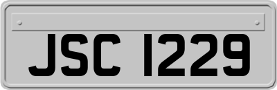JSC1229