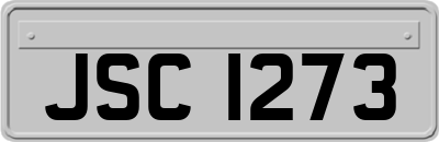 JSC1273