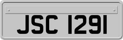 JSC1291