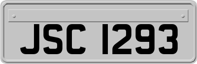 JSC1293