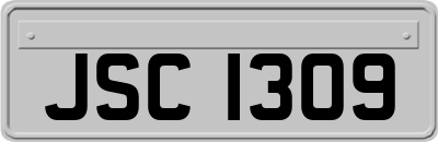 JSC1309
