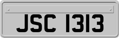 JSC1313