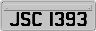JSC1393