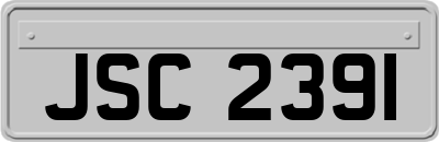 JSC2391