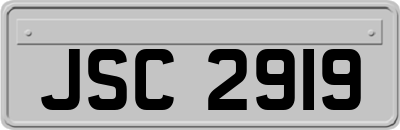 JSC2919