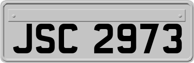 JSC2973