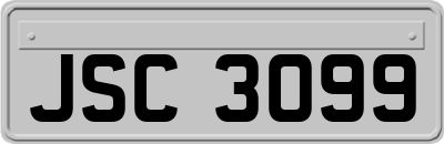 JSC3099