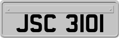 JSC3101