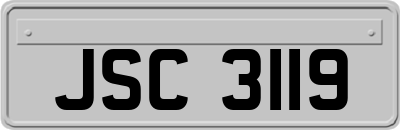 JSC3119