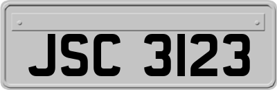 JSC3123