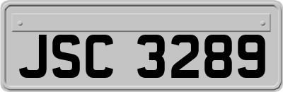 JSC3289