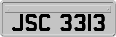 JSC3313