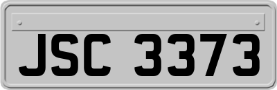 JSC3373