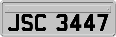 JSC3447