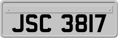 JSC3817