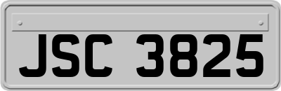 JSC3825