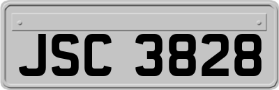 JSC3828