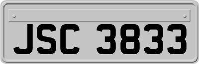 JSC3833