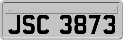 JSC3873