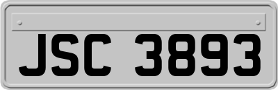 JSC3893