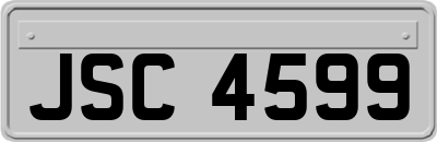 JSC4599