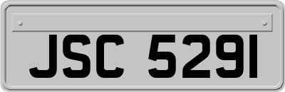 JSC5291