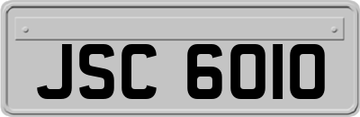 JSC6010