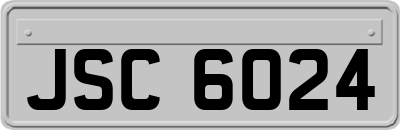 JSC6024