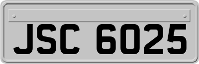 JSC6025