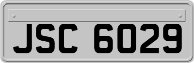 JSC6029