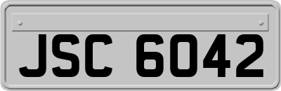 JSC6042