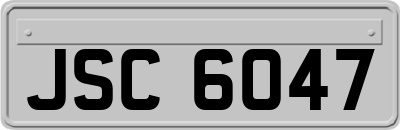 JSC6047