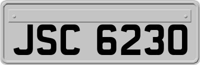 JSC6230