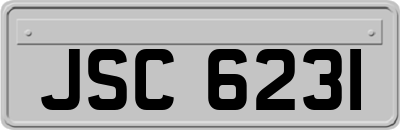 JSC6231