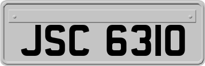 JSC6310