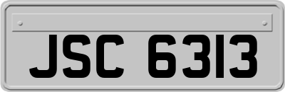 JSC6313