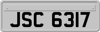 JSC6317