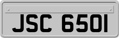 JSC6501