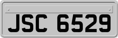 JSC6529