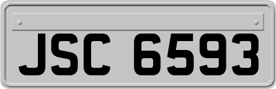 JSC6593